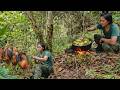 Life in the Green Forest: Wild Chicken Tracking, Traps & Rainy Foraging