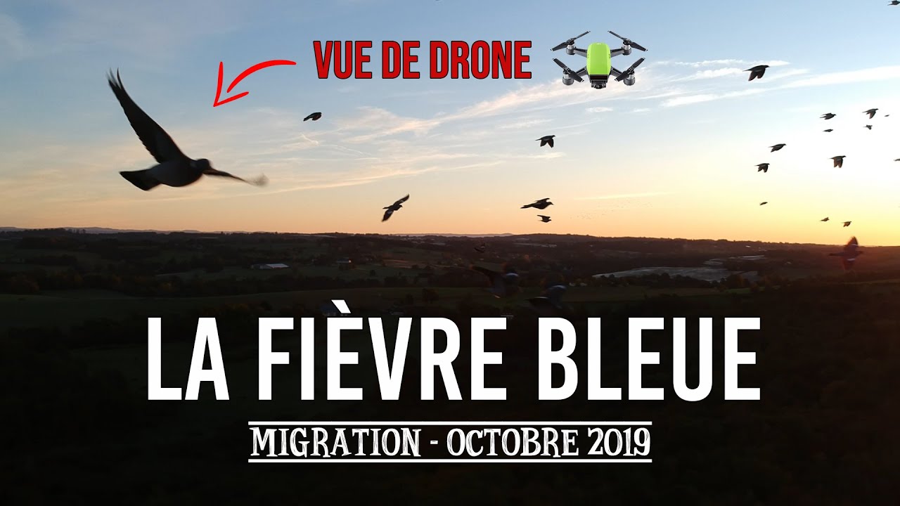 PALOMBES VUE DU CIEL - MIGRATION 2019