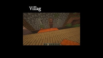 villager not cross carpet #minecraft #shorts #minecraftshorts #minecraftfacts #minecraftanimation