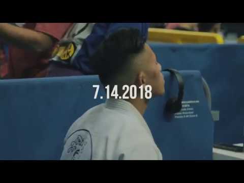 Artista Jiu-JItsu IBJJF