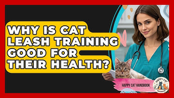 Why Is Cat Leash Training Good For Their Health? - Happy Cat Handbook