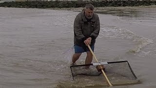 Shrimping with a home made pushnet for Brown Shrimp Crevette Gris