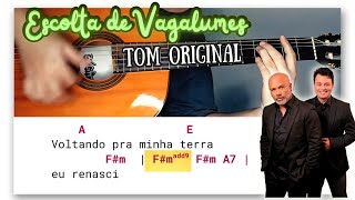 Vídeo de Escolta de vagalumes