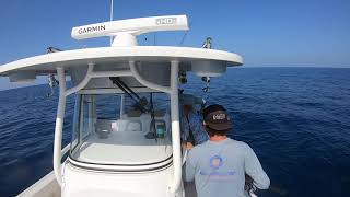 Mahi Madness on the World Cat 295CC