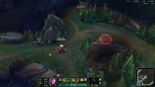 Nidalee Hunt not activating