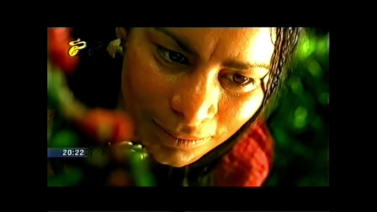 Анонсы, реклама федеральная и Комсомольска-на-Амуре (ТНТ, апрель 2009)