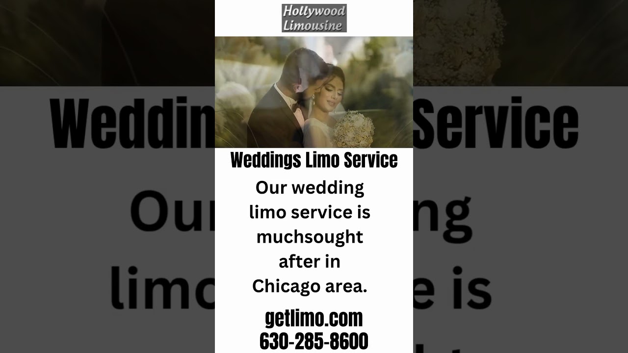 Chicago&rsquo;s Best Wedding Limo Service | Hollywood Limo #shorts #trending #viral #limousineservice
