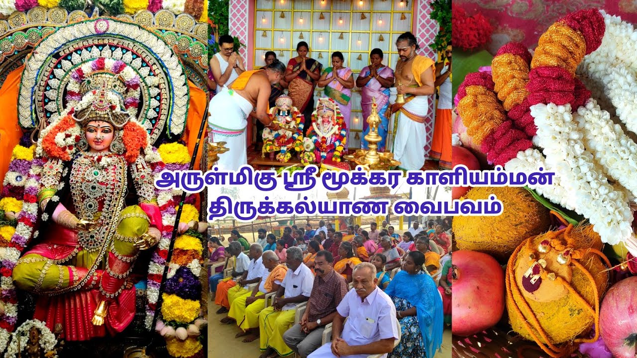 58 ஆம் ஆண்டு மாசித் திருவிழா திருக்கல்யாண வைபவம் சேலம் வீராணம்  அருள்மிகு ஶ்ரீ மூக்கர காளியம்மன்