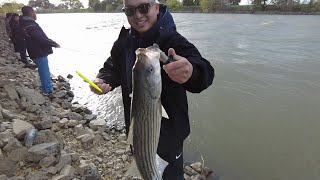 Striper fishing in Sacramento river 3/24/24
