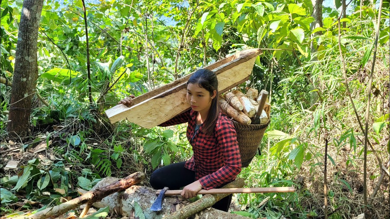 Go to the forest to dig cassava and make troughs for pigs to eat - Lý ...