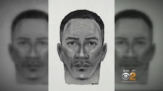 Queens Rape Suspect Sketch