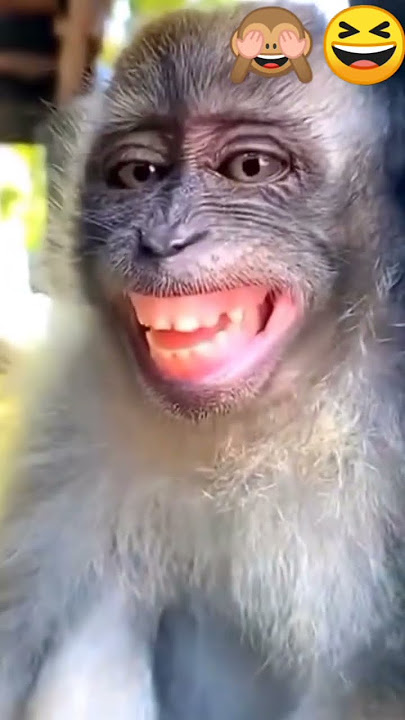 Selamat tidur#lucu#menghibur