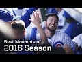 MLB Chicago Cubs Best Moments of 2016 Regular Season - Season Highlights