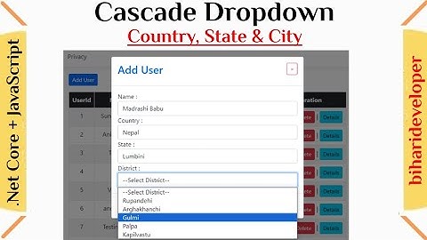 Cascading dropdown with Crud Operation in Asp.Net Core MVC in hindi #biharideveloper