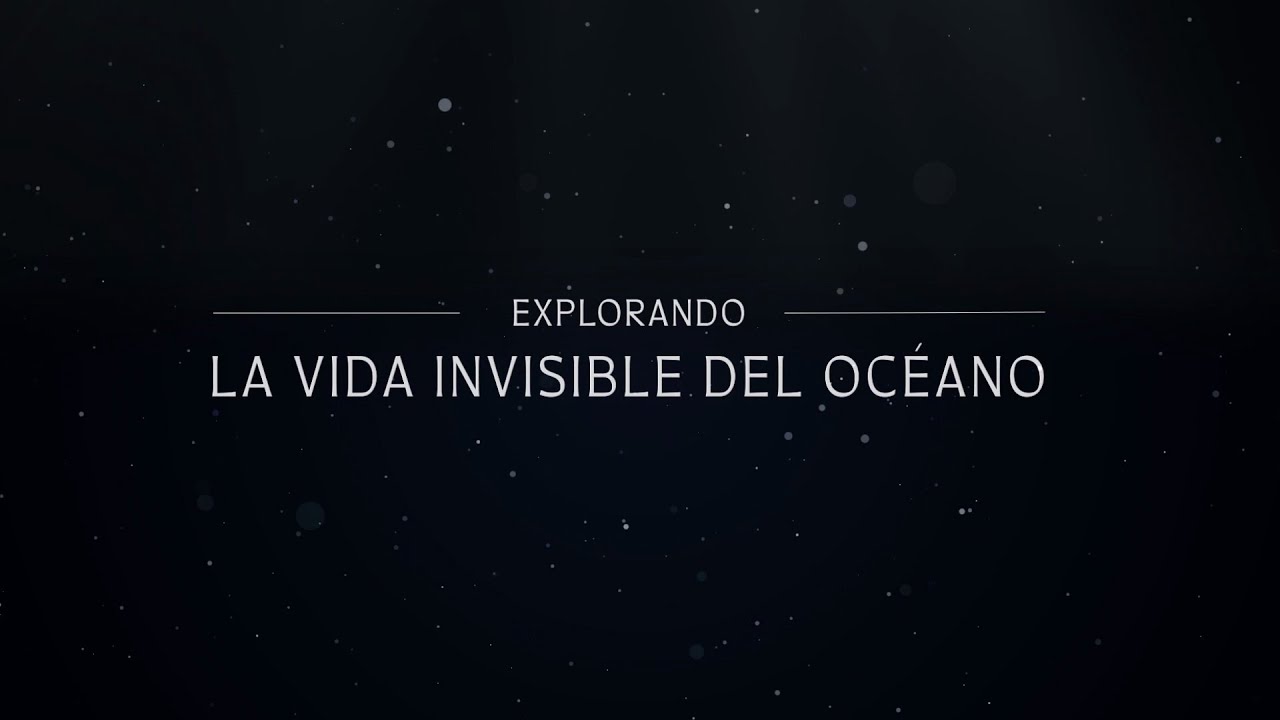 El Desconcierto | https://www.youtube.com/embed/aRfO6oG3OP4