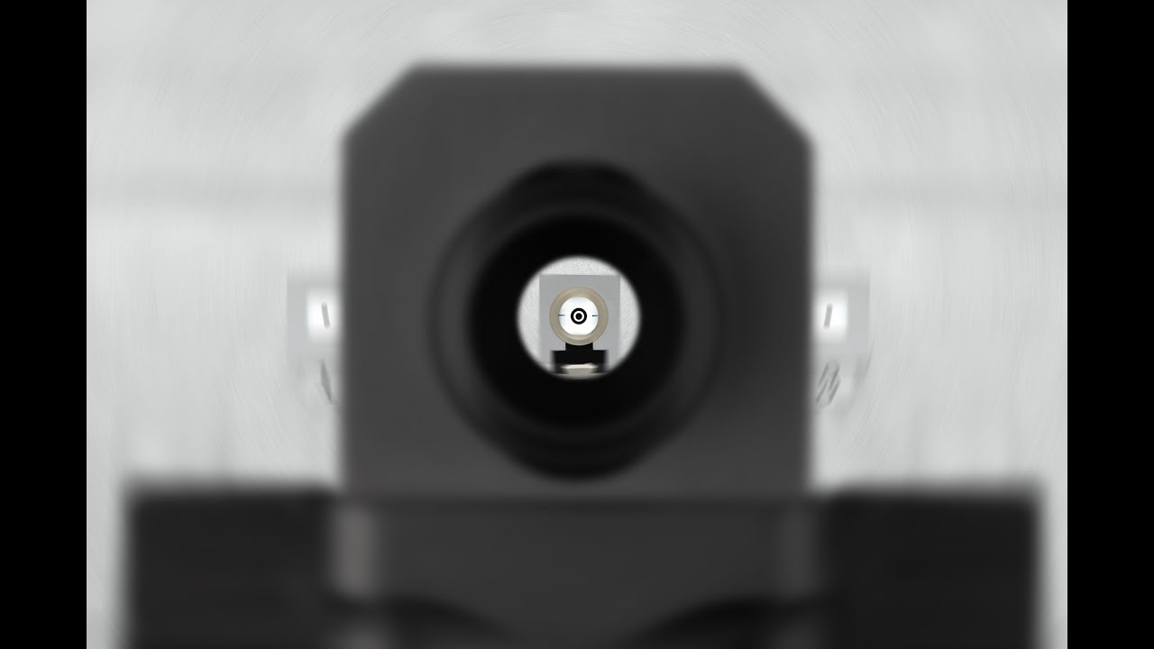 Neurovisual Training: Air Rifle Aiming