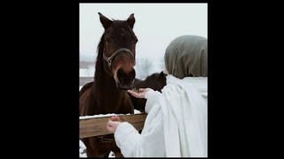 صور بنات محجبات مع الخيل