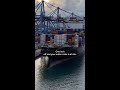 How We Prevent Shipping Damage | Container Bracing &amp; Vapor Barrier Packaging