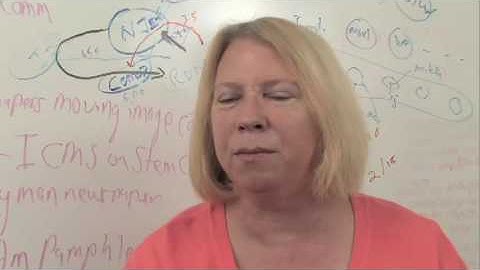 Dr. Grace Agnew - Restrictions of Digital Rights Management