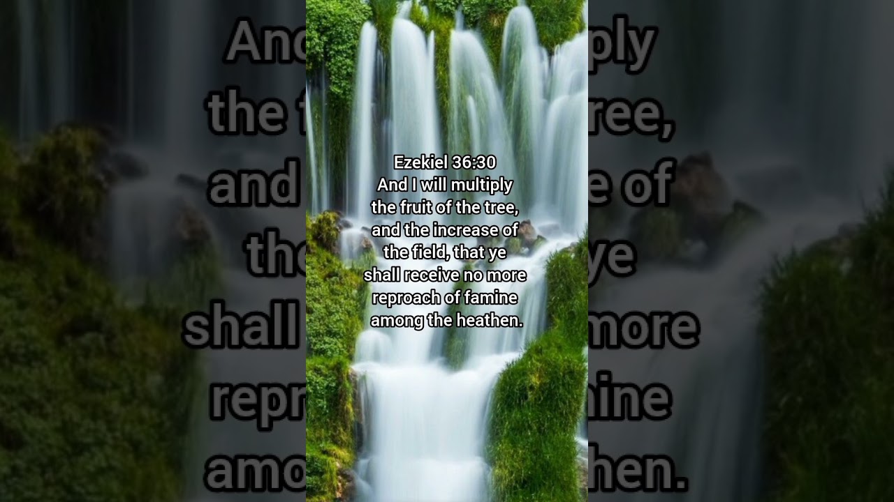 Blessings for the new week 🙏