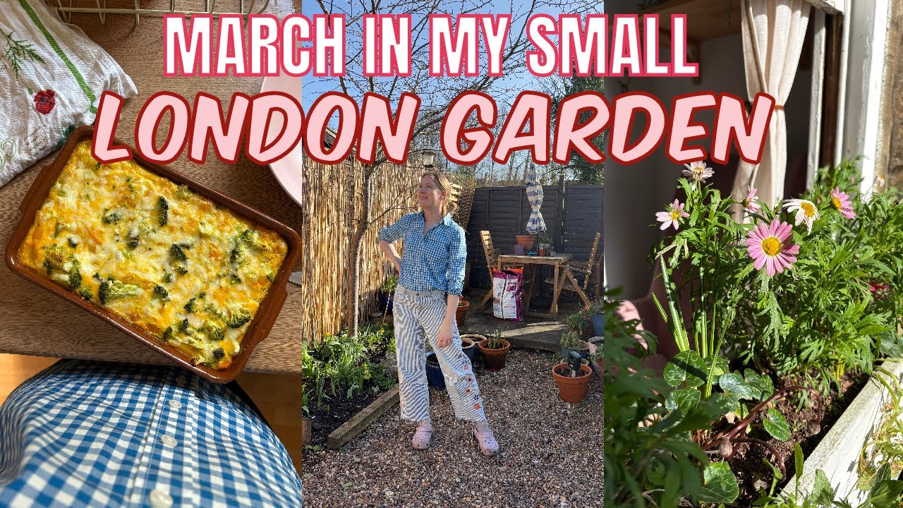 MARCH IN MY SMALL LONDON GARDEN / EMMA'S SUNDAY DIARIES