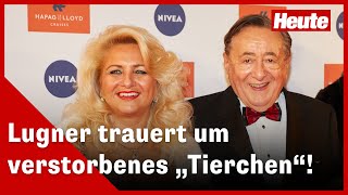 Thumbnail for Lugner sucht nach neuen "Tierchen"