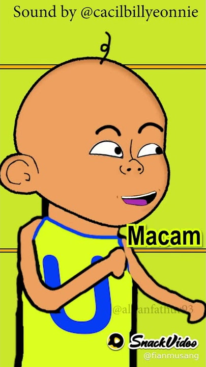 story wa upin ipin terpesona