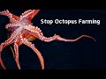 Petition octopussionate action