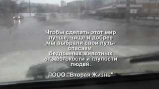 Презентация ЛООО=Вторая Жизнь= г.Липецк Презентация ЛООО=Вторая Жизнь= г.Липецк