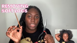 HOW TO : Take Out Soft Locs | Quick & Easy NO DAMAGE