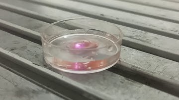 Synthesizing selenium nanoparticles by laser ablation in liquid