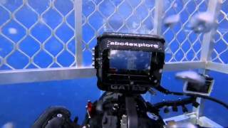 Zo Lok Je Een Mega-Haai Bride Of Jaws