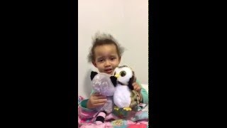 It's Izzy — Episode 1 — Raccoons, Owls and Hangnails