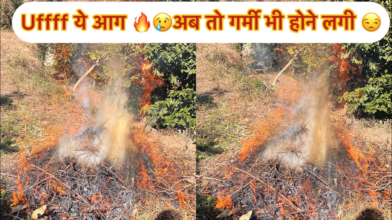 आज गई दोस्तों खेतों में आड़ा जलाने 😂😂आजकल यही काम होता है गावो में 🫠🫶🏻🥹