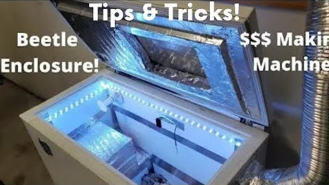 Dermestid Beetles Tips & Tricks - Common Questions