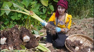 Fresh taro in my countryside and cook food recipe  Polin lifestyle