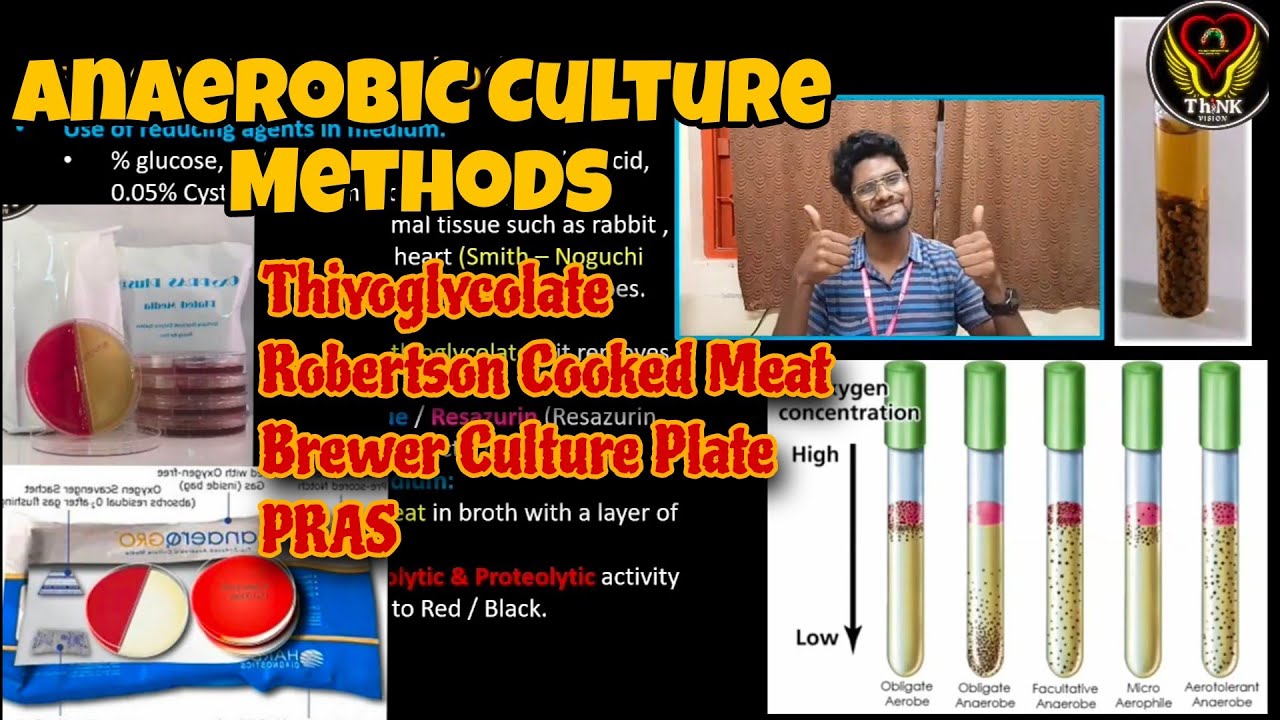 Anaerobic Culture Thiyoglycolate, Robertson Cooked Meat , Brewer Plate