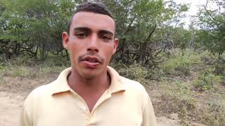 tuada por agressivo assunto nanã aboiador