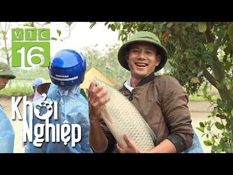 Video Đứng lên sau vấp ngã: Hộ nuôi cá lãi gần 200 triệu -... - youtube