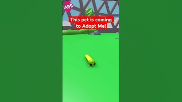 🐛 This Caterpillar Pet Is Coming To Adopt Me! 💚 | Roblox Adopt Me