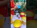 वजन बढ़े तो क्या करें 🙄#trueline #diyplanters #gardening #youtubeshorts
