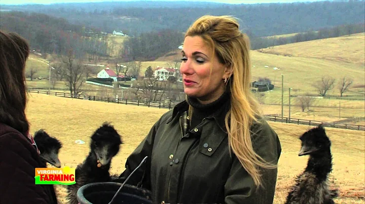 Martha Boneta and Protecting Small Farmers