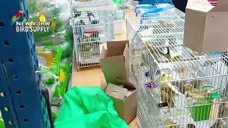New York Bird Supply BIRD EXPO Reel June 10th 2023