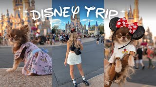 WALT DISNEY WORLD | Florida Trip Recap