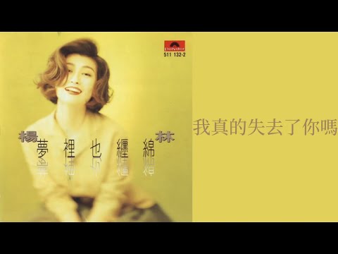 楊林 Diana Yang - 我真的失去了你嗎 Wo Zhen De Shi Qu Le Ni Ma (歌詞 Lyrics)