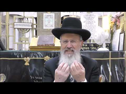 הגאון הרב אברהם יוסף שליט"א האם לימוד הפרשה בפירוש רש"י נחשב כמו תרגום סימן רפה סימן ב