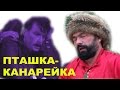 Лети, пташка канарейка