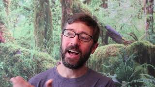 Carlos Tanner - Lessons from Ayahuasca - Episode 04 - Faith & Inner Environment