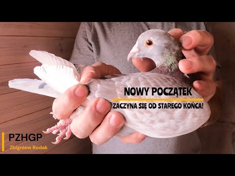 NOWY POCZĄTEK zaczyna
