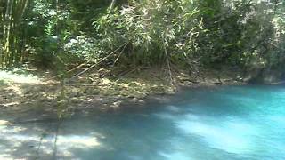 excursions en jamaique